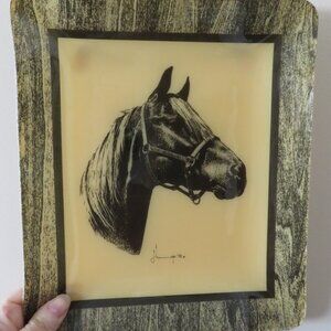 Hardy-Glenwood Polyester Composition Tray Picture Vintage (105V)